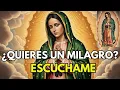 Lagu Our Lady of Guadalupe has an important message for you today.