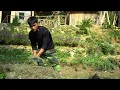 Nick and Thu Transform Their Old Fish Pond – Preparing for a New Fish Harvest!