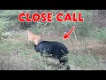 NEAR MISS Caught on Trail Camera 6 minutes apart
