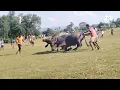 Download Lagu  Semi final kada ropok / petkhasa v/s simaldhap  /AT simaldhap maidan barhait sahebganj