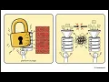 How Database Replication Actually Works with Detailed Real World Examples in 10 Minutes