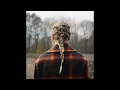 taylor swift willow (Audio song video)