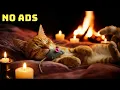 Sleeping Cat by Fireplace Crackling Fire Sounds and Healing Purring for Sleep