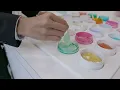 Cosmoprof North America Las Vegas 2025 Recap