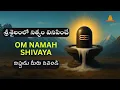 శ్రీశైలంలో నిత్యం వినిపించే మంత్రం | Om Namah Shivaya | Rare findings