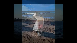 يا اسكندرية بحرك عجايب   أحمد منيب تصوير و إعداد   احمد عزت دندنها