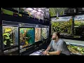 REPTILE ROOM TOUR December 2025 125 Reptiles and Amphibians in one room