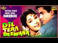 Download Lagu Dil Tera Deewana 1962 Movie Video Songs Jukebox -  Shammi Kapoor, Mala Sinha