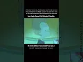 Download Lagu 🇫🇷#CodeLyoko [ ep. 9 ] Xana is the real menace