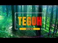 Teguh -  KASAWARI Lirik [4K]