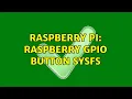 Raspberry Pi Raspberry GPIO button sysfs