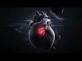 Ali Loka ft. M - Farag - Wenak / على لوكا و فرج - وينك ( OFFICIAL VISUALIZER )