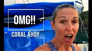 WHAT? SAILING BOAT STUCK IN CORAL WITH NO WAY OUT! Ep 109