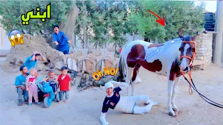 لما ابوك يشتري حصان ويطلع مجنون الجزء الثالث     علاء حسين دندنها