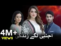 Download Lagu AJNABI LAGE ZINDAGI (اجنبی لگے زندگی) - Episode 01 [English Subtitles] - Momina Iqbal, Arslan Asad. MP3