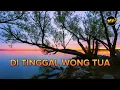 DI TINGGAL WONG TUA _ TIA INOVA ( cover aiko music Mp3 Lirik )