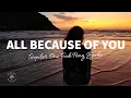 Download Lagu TWOPILOTS, One Trick Pony \u0026 Bjerke - All Because Of You (Lyrics)