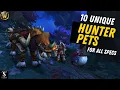 10 Unique Hunter Pets for ALL Specs