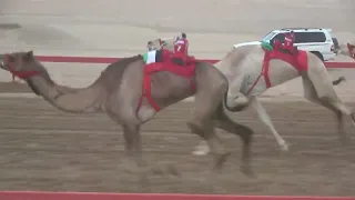 الشوط2 شوق للسيد عزيز بخيت فطيس المنصوري توقيت 9 33 28 