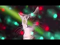 Piyou Patate ✴︎『⩇⩇:⩇⩇』🎉Yearmix 2025 🎉 [ Future House / UKG / Bassline / Dubstep / Hip Hop / Techno ]