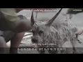 [태국명곡 가사해석] ไม่เคย(마이커이) - 25hours / (생각)해본적이 없어요