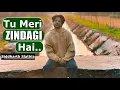 Lagu Tu Meri Zindagi Hai | Tu Meri Har Khushi Hai - Siddharth Slathia|Kartik Aaryan, Sreeleela|Songs 2025