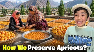 How We Preserve Apricots for Winter | Village Life | Gilgit Baltistan 
