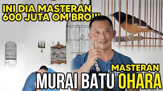 Download Grebek Markas Ohara, Prio Excellent Bongkar Rahasia Masteran Murai Baru Ohara Setelah Mabung \u0026 Dokor MP3