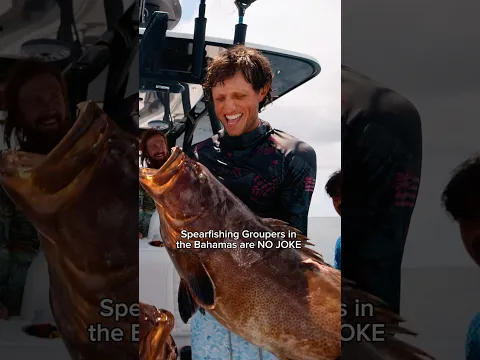 That Last Grouper was MASSIVE