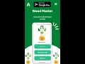 Weed Growing-Cannabis Leafly