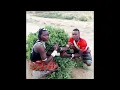 Download Lagu MYUNJIWA MANG,OMBE __UJUMBE WA MBALU _PRD MBASHA STUDIO 2022