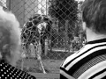 Shining - Through Corridors of Oppression Жирафик mix