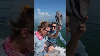 it’s about time we get out and explore #bahamas #exploration #adventure #travel