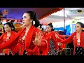 Download Lagu Live - TAYUB MUDHO IROMO \u0026 KUSUMO LARAS TERBARU || PT. YAPA SANDY MEDIA KONDANGNYA TAYUB INDONESIA