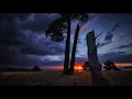 Healing Sleep Music ★︎ Body Mind Restoration ★︎ Stress Relief, Delta Waves meditation music