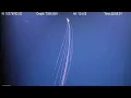 Magnapinna BigFin Squid Attacking Deep Ocean ROV Footage