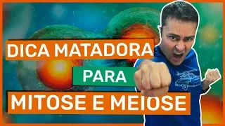 Dica MATADORA para MITOSE e MEIOSE