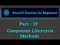 ReactJS Tutorial for Beginners - Part 19