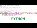 How to Download File Over HTTP and Execute on local system in Python