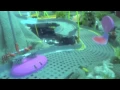 K nex Cheep Cheep Lagoon