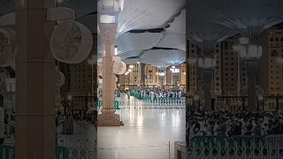 أوليس الذي خلق السماوات والارض بقدر ترتيل خاشعة ومؤثرة تأخذك لعالم آخر للشيخ احمد بن طالب 