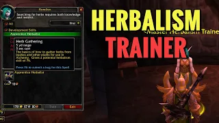 Honor Hold Herbalism Trainer Location WoW TBC