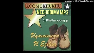 nechodima zcc amapiano remix by dj phathu young p