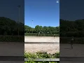 Download Lagu Im on the….. FLOOR! FLOOR! 🤣🤣 #paardrijden #paarden #manege 