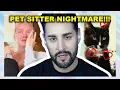 PET SITTER AT PEACE WITH LOOSING FAMILY CAT PET SITTING NIGHTMARE COME TRUE