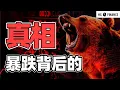AI泡沫破了吗? “崩盘”的真相 | 猴哥财经 | 美股 | 投资 | 股票