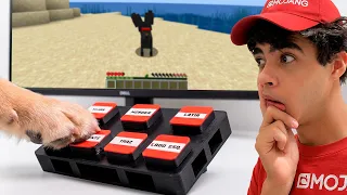 Fiz um COMPUTADOR PARA CACHORRO