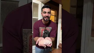 تجميعة لفيديوهات عيد الاضحى 2026 | احمد ابراهيم وزينة 