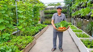 How I Make the Most of Every Available Space to Grow Fresh Vegetables