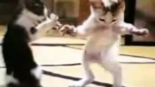 أفضل أغنية مصرية مضحكة لعام      دندنها